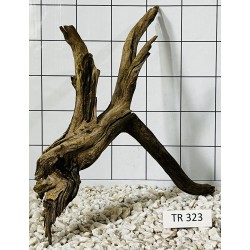 Spiderwood 323