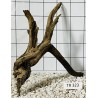 Spiderwood 323