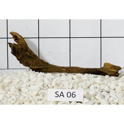 Samoa wood 06