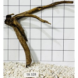 Spiderwood 328