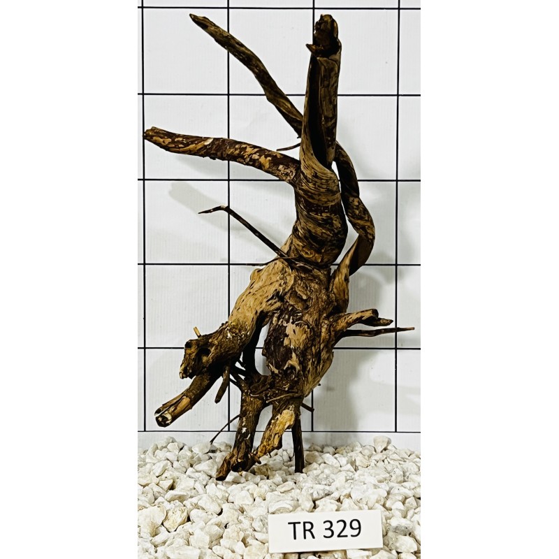 Spiderwood 329