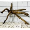 Spiderwood 330