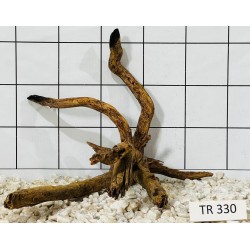 Spiderwood 330