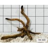 Spiderwood 330