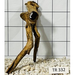 Spiderwood 332