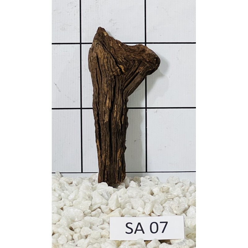 Samoa wood 07