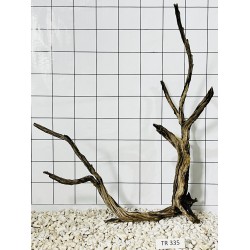 Spiderwood 335