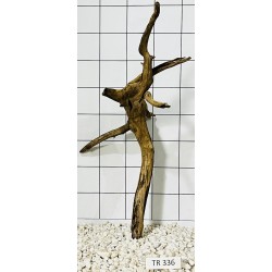 Spiderwood 336