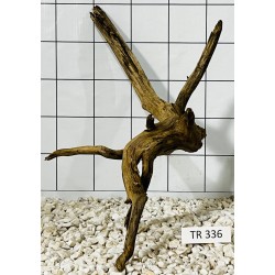 Spiderwood 336