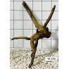 Spiderwood 336