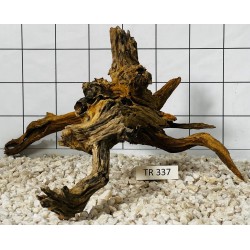 Spiderwood 337