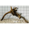 Spiderwood 337