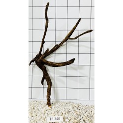 Spiderwood 340