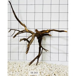 Spiderwood 343