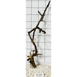 Spiderwood 349