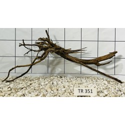 Spiderwood 351