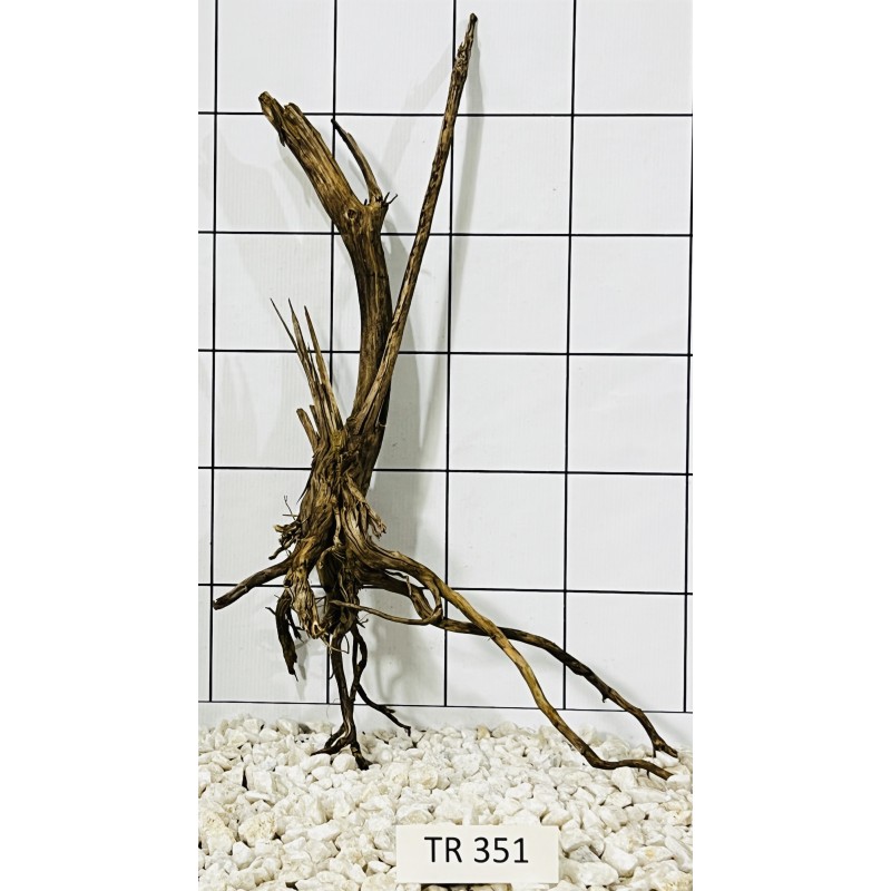 Spiderwood 351