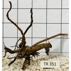 Spiderwood 351
