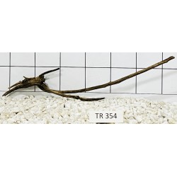Spiderwood 354