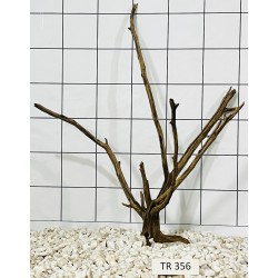 Spiderwood 356