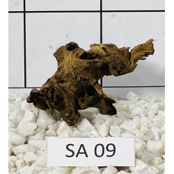 Samoa wood 09