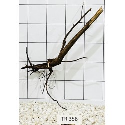 Spiderwood 358