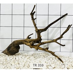 Spiderwood 359