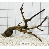 Spiderwood 359