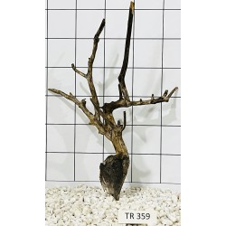 Spiderwood 359