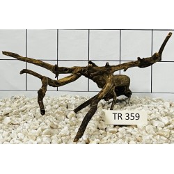 Spiderwood 359