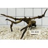 Spiderwood 359