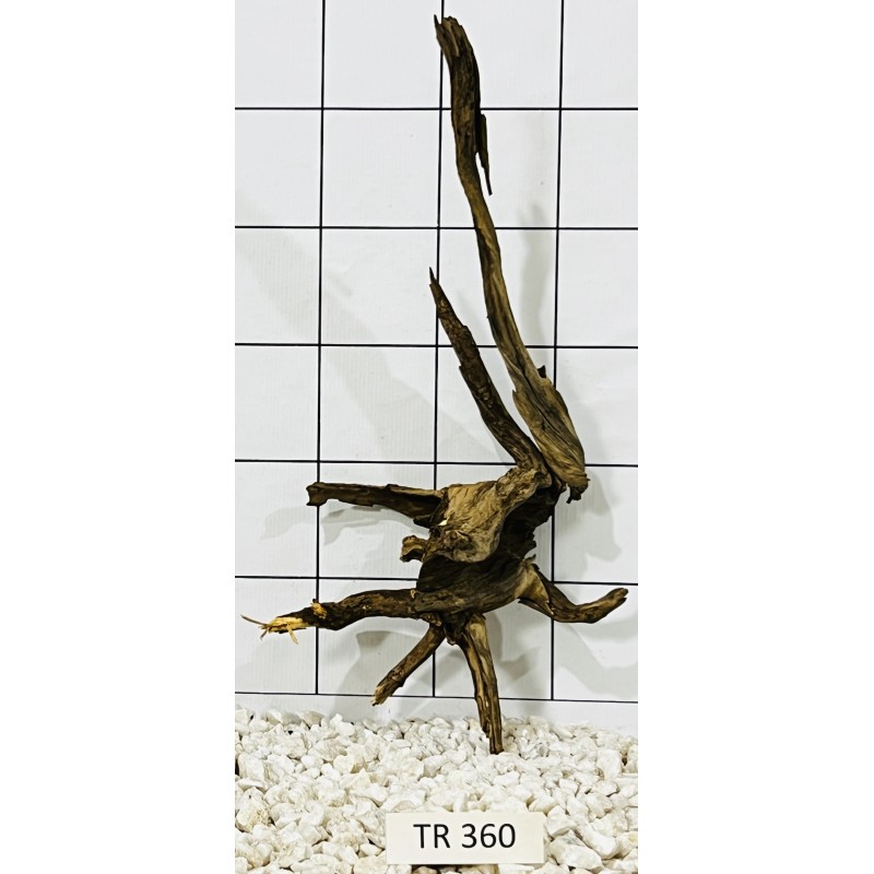 Spiderwood 360