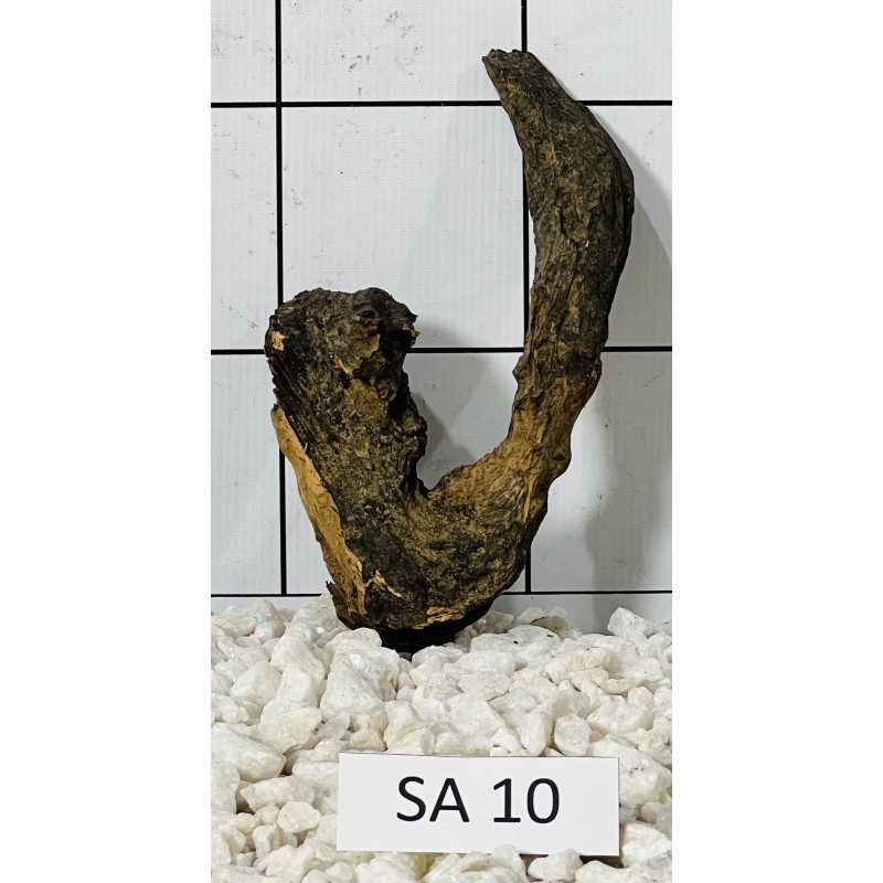 Samoa wood 10