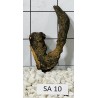 Samoa wood 10