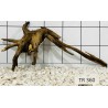 Spiderwood 360