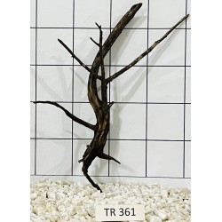 Spiderwood 361