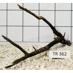 Spiderwood 362