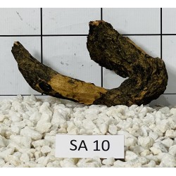Samoa wood 10