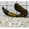 Samoa wood 10