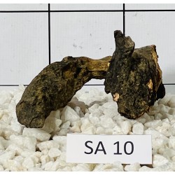 Samoa wood 10