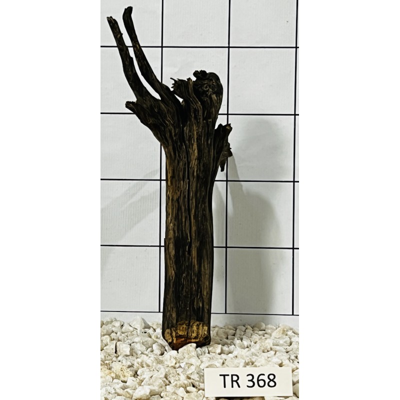 Spiderwood 368