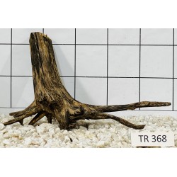 Spiderwood 368