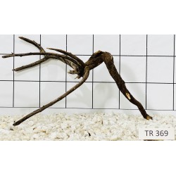Spiderwood 369