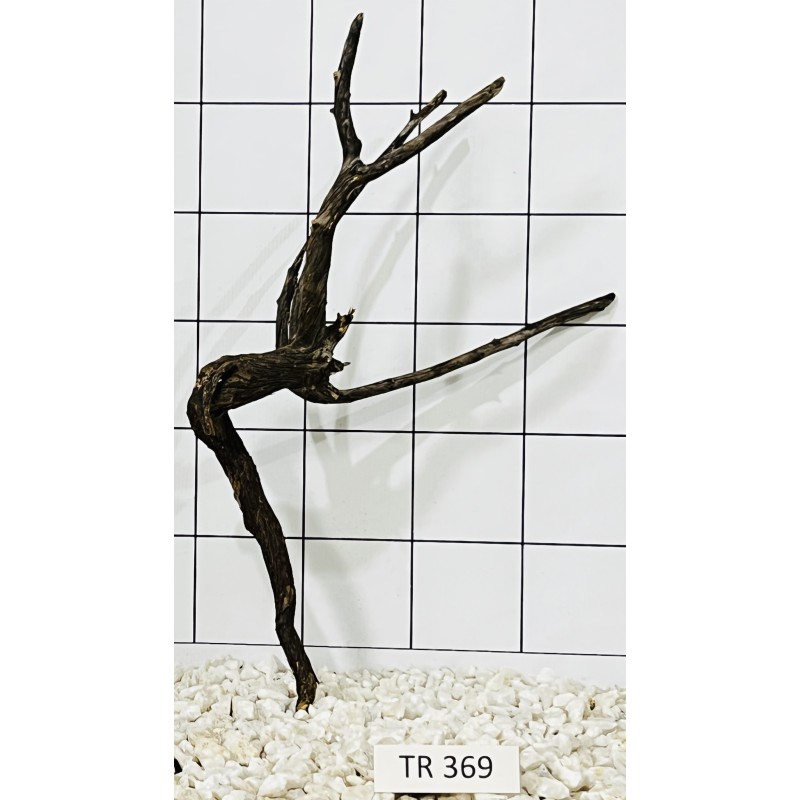 Spiderwood 369