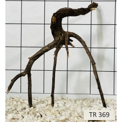 Spiderwood 369