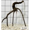 Spiderwood 369