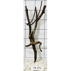 Spiderwood 371