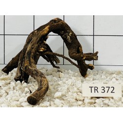Spiderwood 372