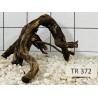 Spiderwood 372