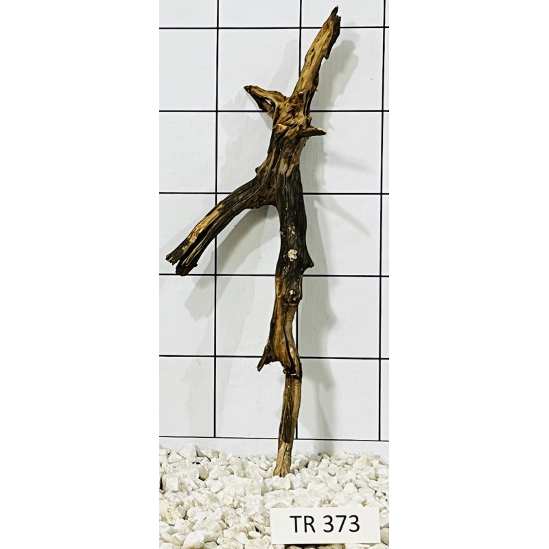Spiderwood 373